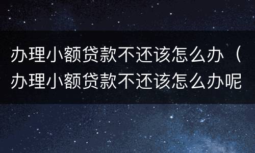 办理小额贷款不还该怎么办（办理小额贷款不还该怎么办呢）