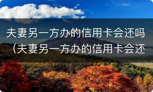 夫妻另一方办的信用卡会还吗（夫妻另一方办的信用卡会还吗知乎）