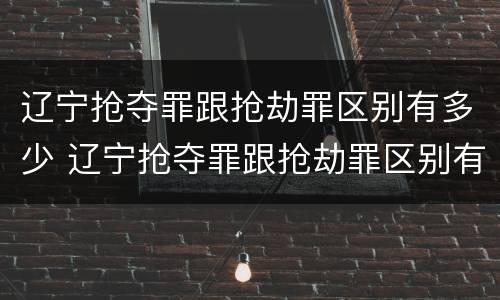 辽宁抢夺罪跟抢劫罪区别有多少 辽宁抢夺罪跟抢劫罪区别有多少条