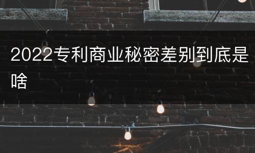 2022专利商业秘密差别到底是啥