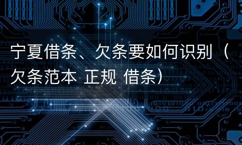 宁夏借条、欠条要如何识别（欠条范本 正规 借条）