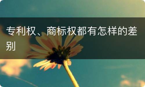 专利权、商标权都有怎样的差别