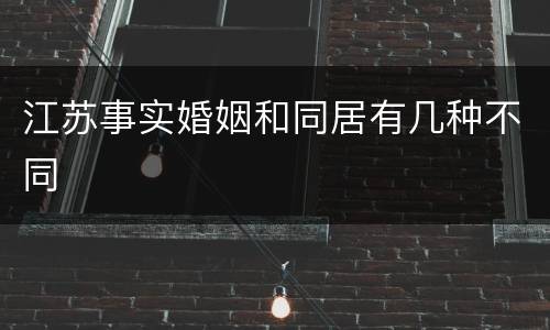 江苏事实婚姻和同居有几种不同