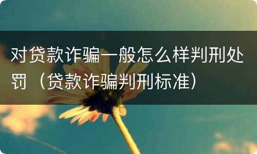 对贷款诈骗一般怎么样判刑处罚（贷款诈骗判刑标准）