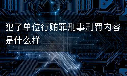 犯了单位行贿罪刑事刑罚内容是什么样
