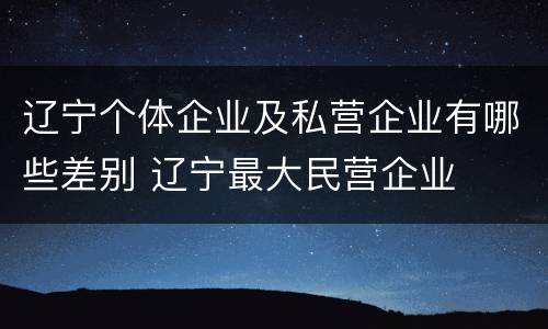 辽宁个体企业及私营企业有哪些差别 辽宁最大民营企业