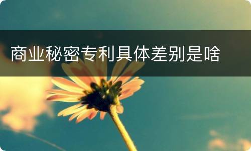 商业秘密专利具体差别是啥