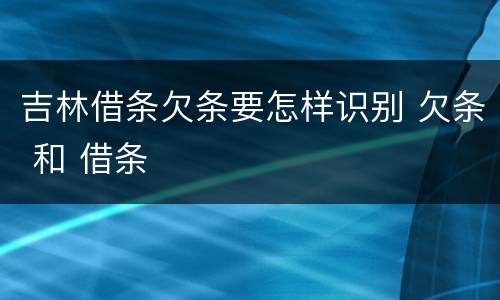 吉林借条欠条要怎样识别 欠条 和 借条