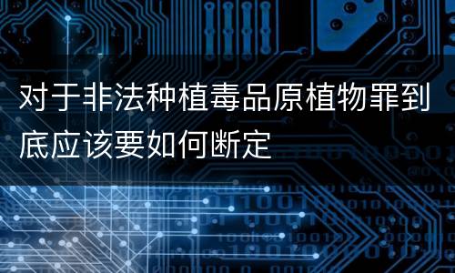 对于非法种植毒品原植物罪到底应该要如何断定