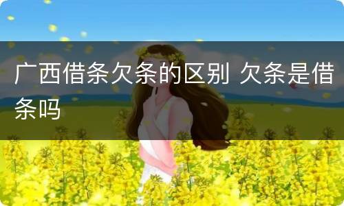 广西借条欠条的区别 欠条是借条吗