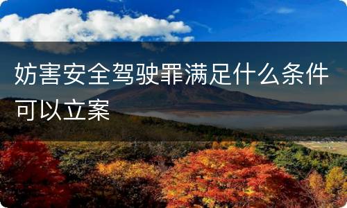 妨害安全驾驶罪满足什么条件可以立案