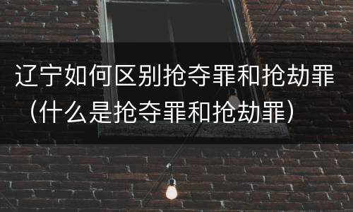 辽宁如何区别抢夺罪和抢劫罪（什么是抢夺罪和抢劫罪）