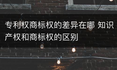 专利权商标权的差异在哪 知识产权和商标权的区别