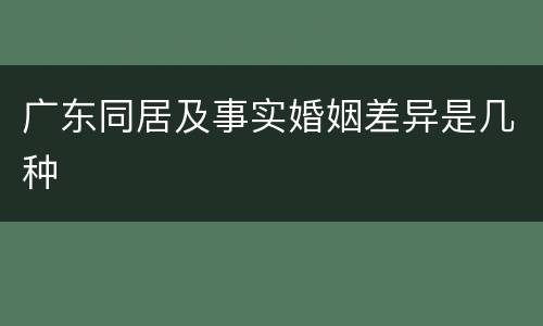 广东同居及事实婚姻差异是几种