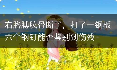 右胳膊肱骨断了，打了一钢板六个钢钉能否鉴别到伤残