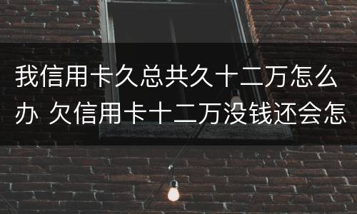 我信用卡久总共久十二万怎么办 欠信用卡十二万没钱还会怎么样