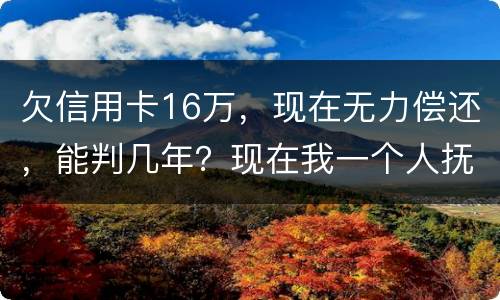 欠信用卡16万，现在无力偿还，能判几年？现在我一个人抚养孩子，判刑后孩子怎么办