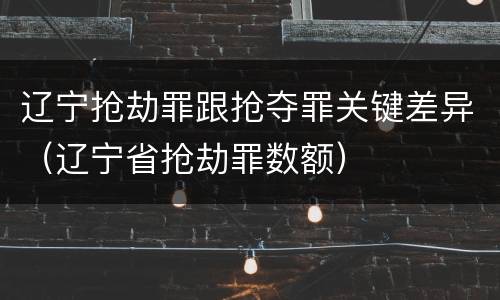 辽宁抢劫罪跟抢夺罪关键差异（辽宁省抢劫罪数额）
