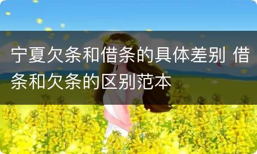 宁夏欠条和借条的具体差别 借条和欠条的区别范本