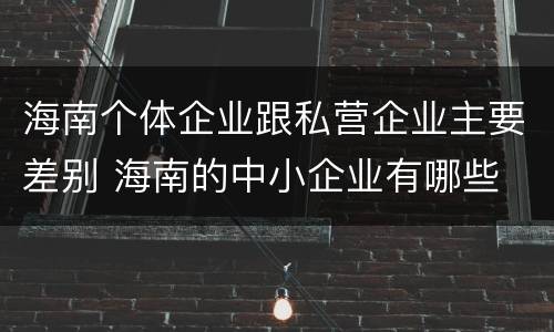 海南个体企业跟私营企业主要差别 海南的中小企业有哪些