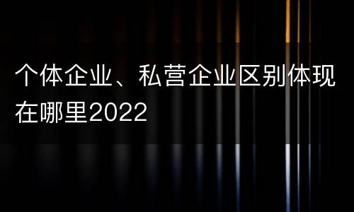 个体企业、私营企业区别体现在哪里2022