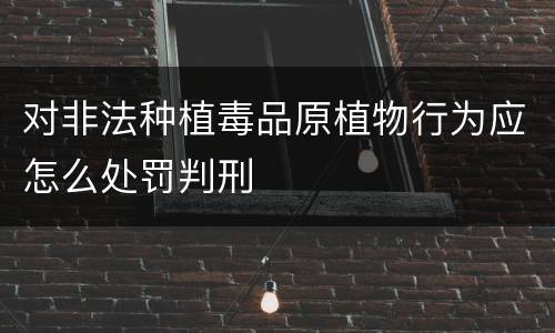 对非法种植毒品原植物行为应怎么处罚判刑