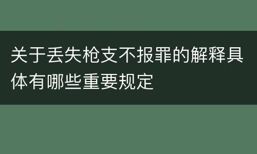 关于丢失枪支不报罪的解释具体有哪些重要规定