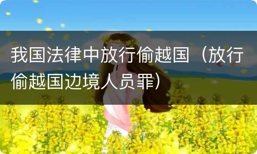 我国法律中放行偷越国（放行偷越国边境人员罪）