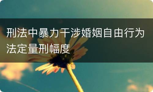 刑法中暴力干涉婚姻自由行为法定量刑幅度