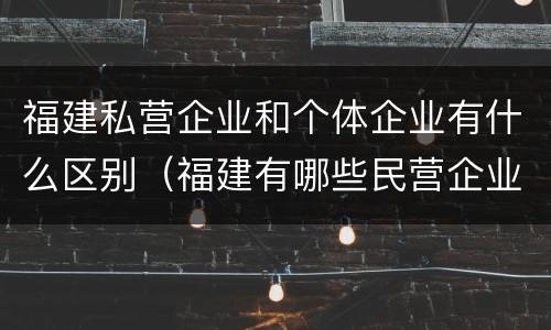 福建私营企业和个体企业有什么区别（福建有哪些民营企业）