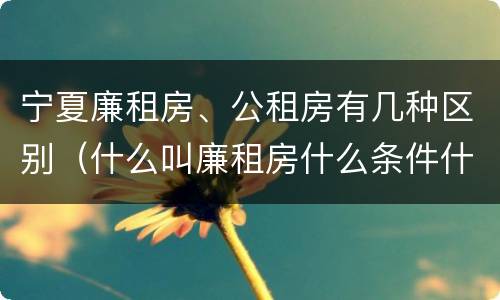 宁夏廉租房、公租房有几种区别（什么叫廉租房什么条件什么叫公租房）