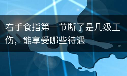 右手食指第一节断了是几级工伤，能享受哪些待遇