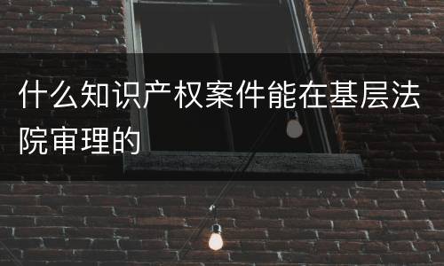 什么知识产权案件能在基层法院审理的
