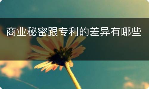 商业秘密跟专利的差异有哪些