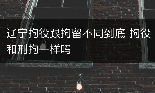 辽宁拘役跟拘留不同到底 拘役和刑拘一样吗