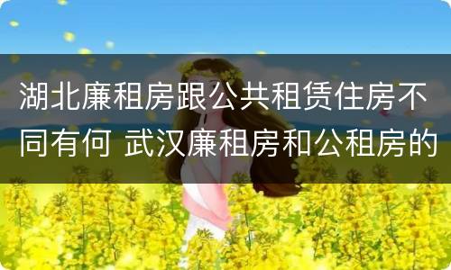 湖北廉租房跟公共租赁住房不同有何 武汉廉租房和公租房的区别