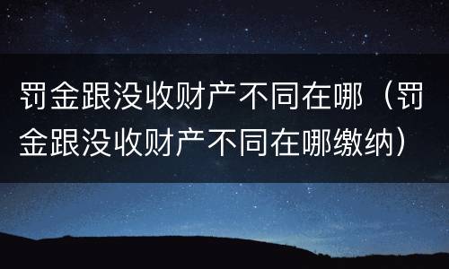 罚金跟没收财产不同在哪（罚金跟没收财产不同在哪缴纳）