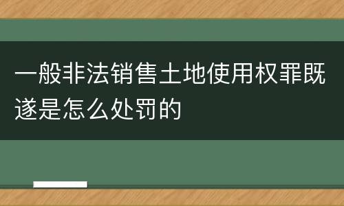 一般非法销售土地使用权罪既遂是怎么处罚的