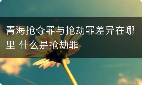 青海抢夺罪与抢劫罪差异在哪里 什么是抢劫罪