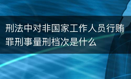 刑法中对非国家工作人员行贿罪刑事量刑档次是什么