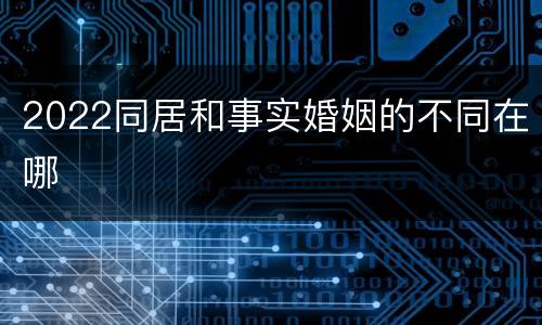 2022同居和事实婚姻的不同在哪