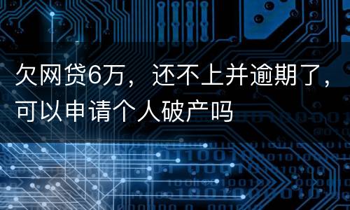 欠网贷6万，还不上并逾期了，可以申请个人破产吗