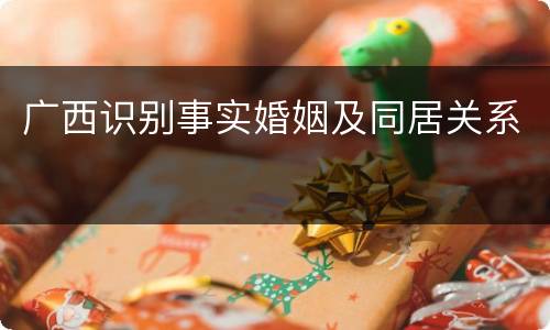 广西识别事实婚姻及同居关系