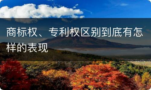 商标权、专利权区别到底有怎样的表现