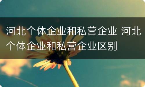 河北个体企业和私营企业 河北个体企业和私营企业区别