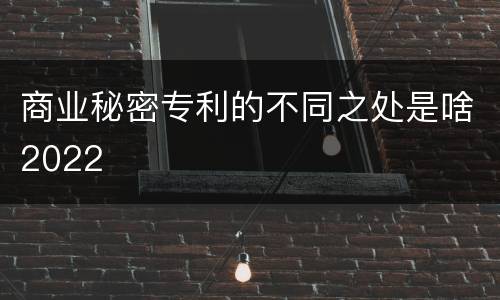 商业秘密专利的不同之处是啥2022
