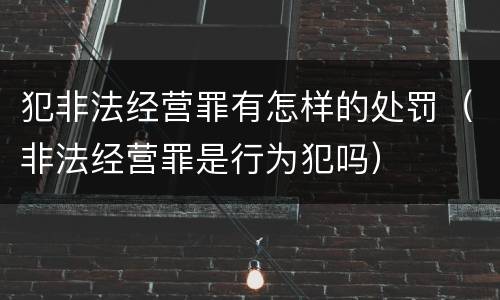犯非法经营罪有怎样的处罚（非法经营罪是行为犯吗）