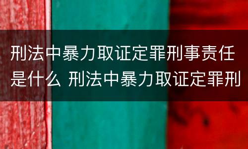 刑法中暴力取证定罪刑事责任是什么 刑法中暴力取证定罪刑事责任是什么意思