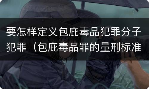 要怎样定义包庇毒品犯罪分子犯罪（包庇毒品罪的量刑标准）