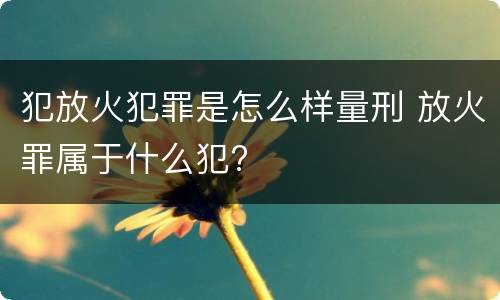 犯放火犯罪是怎么样量刑 放火罪属于什么犯?